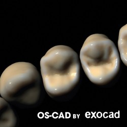 TOOTH LIBRARY - OS-CAD  BY EXOCAD 
